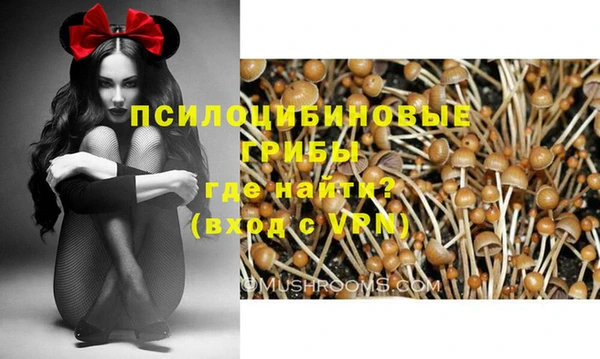 таблы Белоозёрский