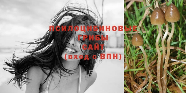 MDMA Premium VHQ Белокуриха